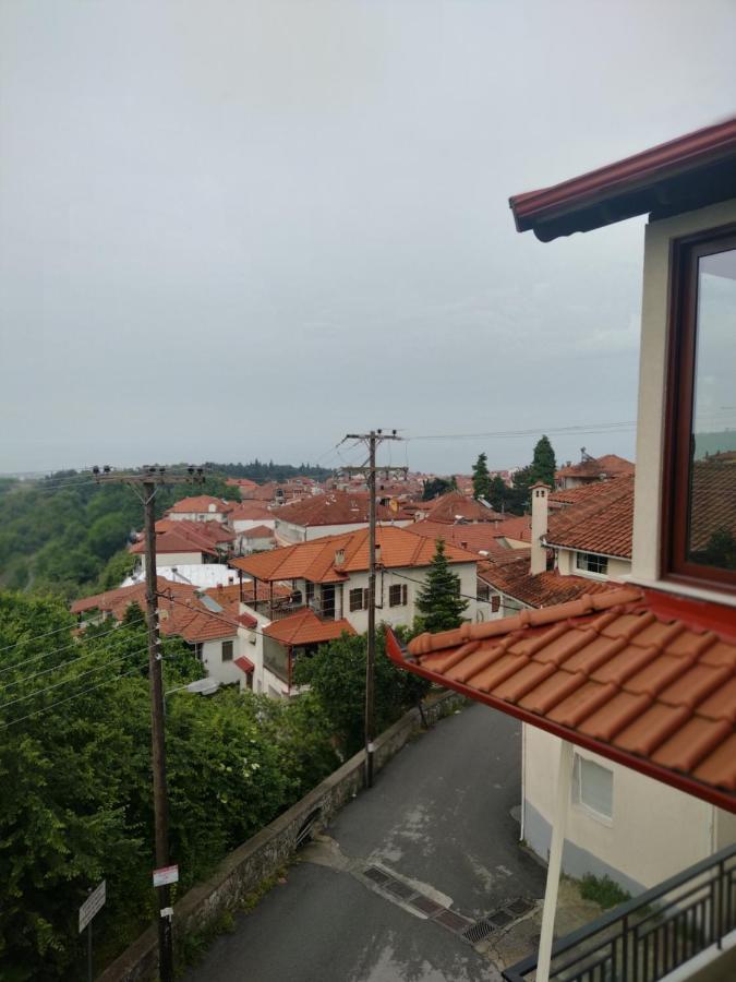 Ζεφυροσ Apartment Litochoro Exterior photo